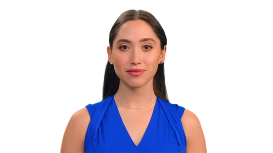 Character C - Virtual Assistant